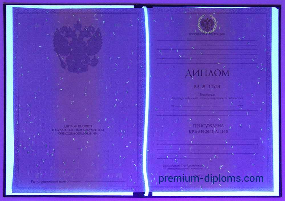 Диплом магистра 2010-2013 год фото Диплом магистра 2010-2013 год фото