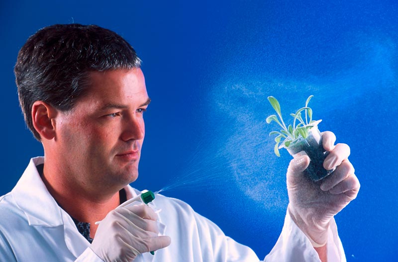 купить оригинальный диплом биолога изготовим диплом биолога